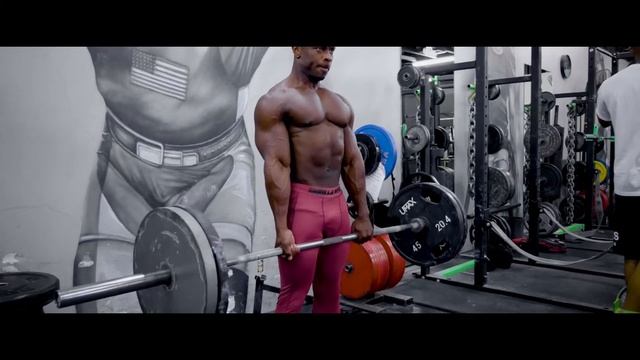 Smart Shorts & Tights - Gorilla Wear USA смотреть онлайн