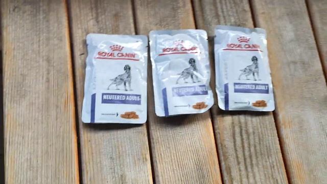 Славянск. 12 марта 2024 года. Вечер. смотреть онлайн