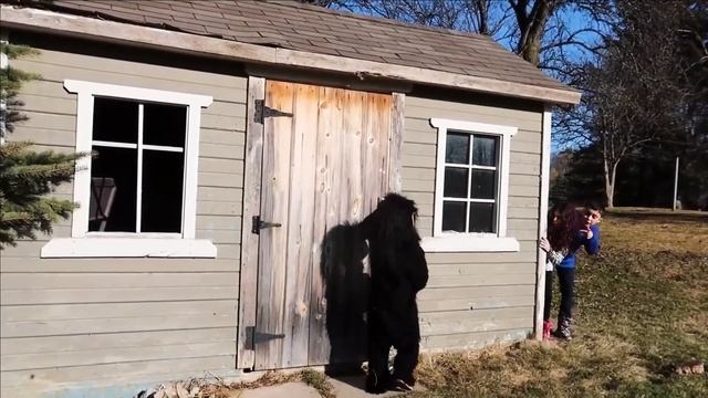 Хайди и Зидан проучили обезьяну-воришку смотреть онлайн