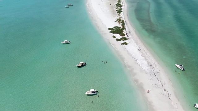 Tarpon circling at Passage Key!! смотреть онлайн