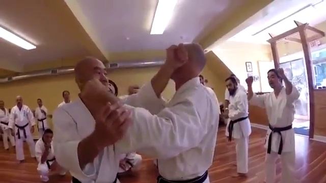 Taira Sensei New York Seminar 2016 смотреть онлайн