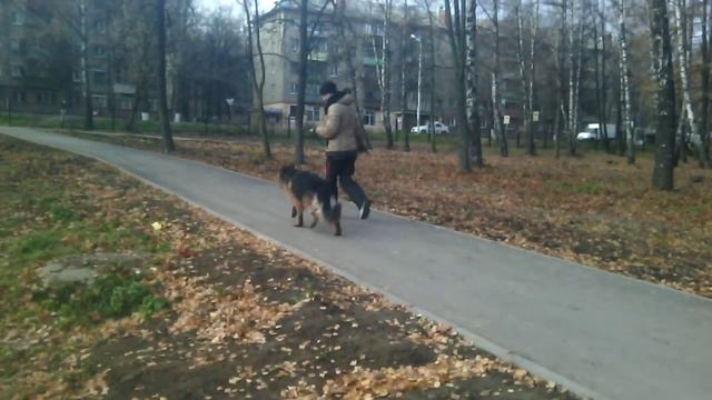 вжих и всё смотреть онлайн