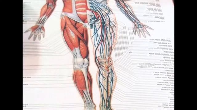 Sai Hospital Nashik | Knee Pain Surgery | Knee Replacement смотреть онлайн