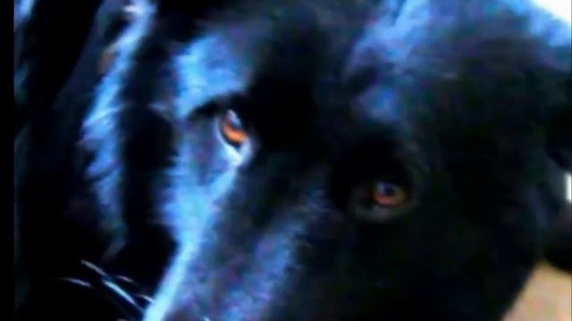 До свиданья мой Миша! смотреть онлайн