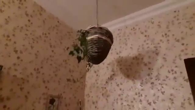Влог)) Перекраска коридора продолжается))) смотреть онлайн