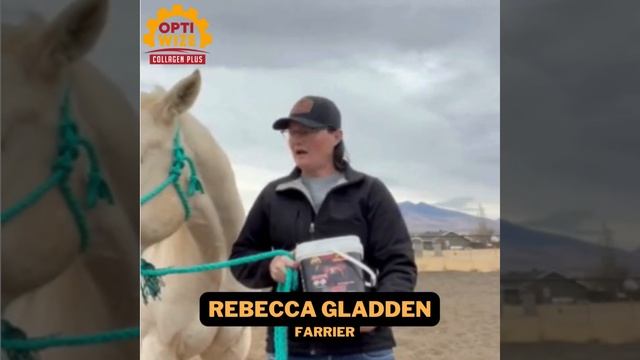 Horse dealing with bone spur fracture, navicular in horse, lameness, recovery. смотреть онлайн