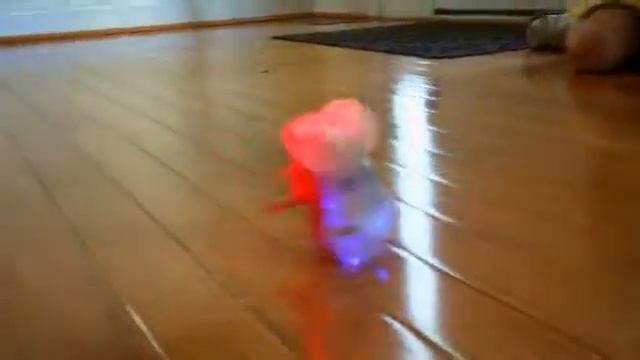Mindscope Neon Glow Twister Tracks Flip Trucks Flexible Assembly Track смотреть онлайн