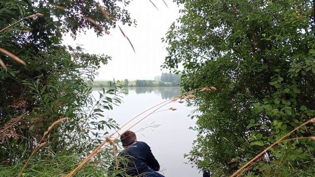 Удачная поездка на рыбалку | Рыбалка ра кружки на карпа | Отдых на природе с палатками смотреть онлайн