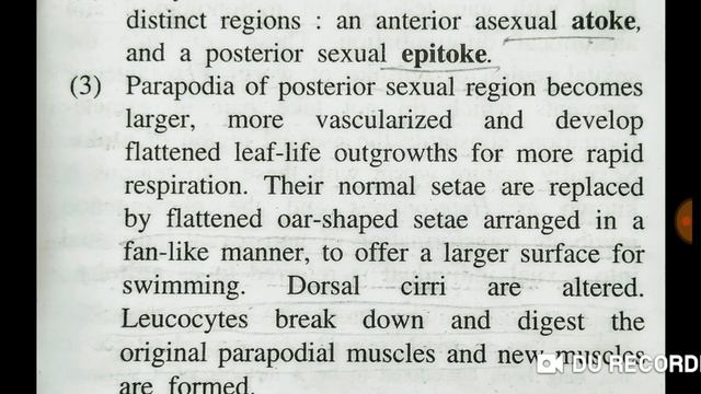 Heteronereis смотреть онлайн