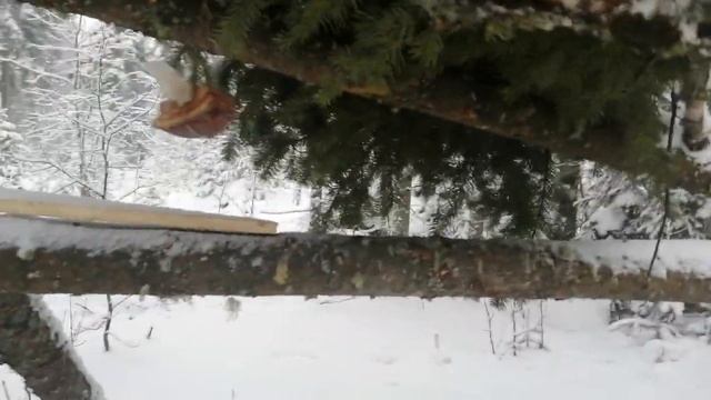 проверка новой кулёмки смотреть онлайн