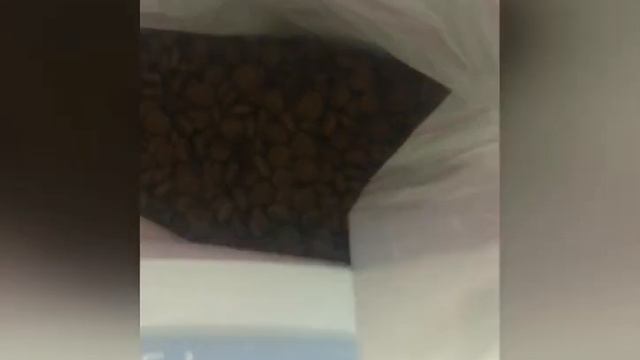 Корм , который ест наша собака Тина смотреть онлайн