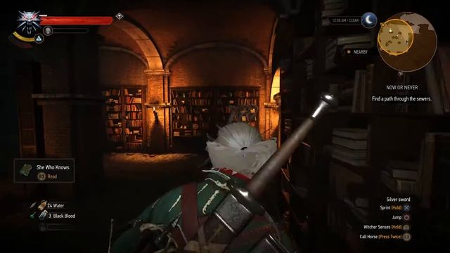 Witccher 3 Hd gameplay..mission now or never..Gerald chemistry with Triss смотреть онлайн