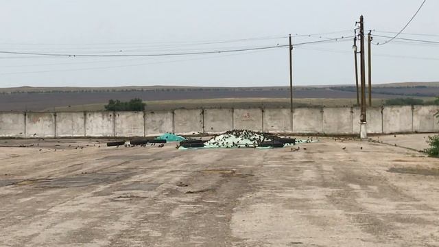 Подсолнечник смотреть онлайн