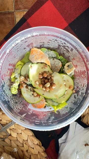 Mláďata achatina achatina achatina Nigeria albino body. Dávají si načas. смотреть онлайн