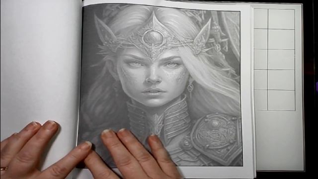 Flip Through "The Elf of Paladin" By Rachel Mintz смотреть онлайн