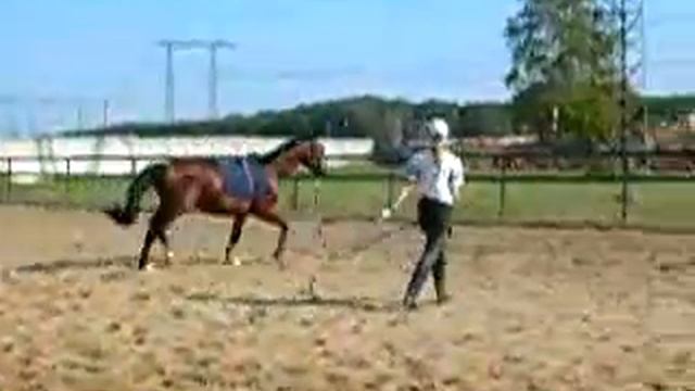 Первая рысь-сентябрь смотреть онлайн