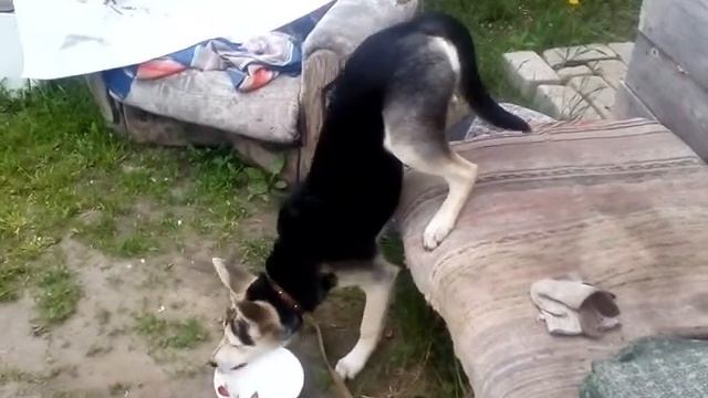 Завтрак вверх ногами смотреть онлайн
