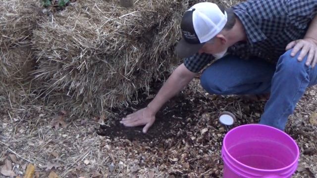 How To Extend Your Growing Season In A November Garden 11-10-2022 смотреть онлайн