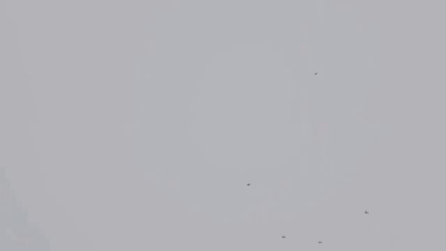 Гон утром 1 января 2020г 2020 01 01 20 43 17 смотреть онлайн