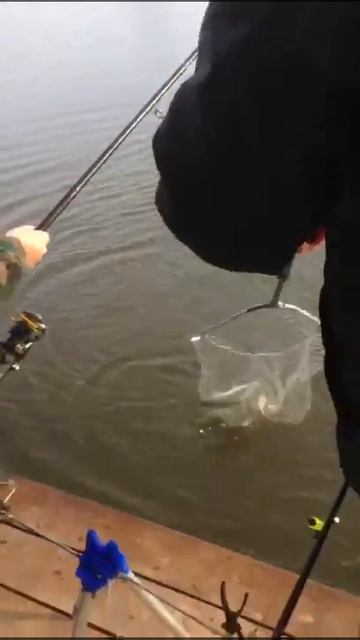 Здравствуйте вот так девочка ловит форель. смотреть онлайн