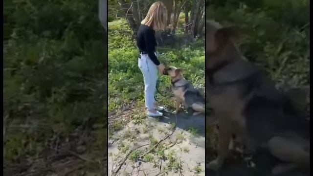 Пристраиваем Герду смотреть онлайн