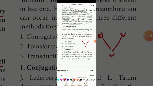 Reproduction in Bacteria... Part 1...11th Botany... Diversity in living world in tamil... 🙂 смотреть онлайн
