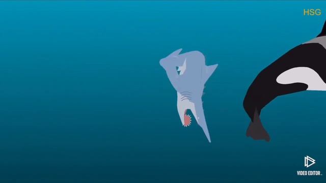 Orca vs helicoprion (inacuruate but it was a request) смотреть онлайн