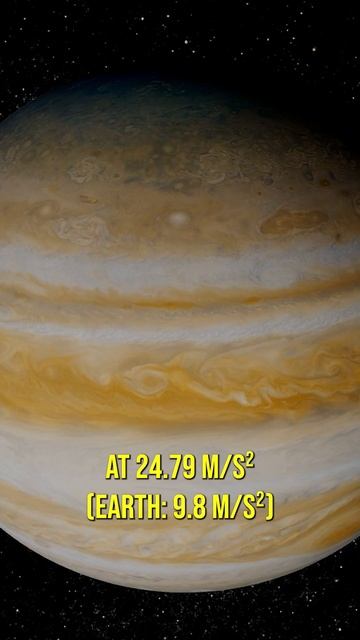 What's Your Weight on Jupiter?! смотреть онлайн