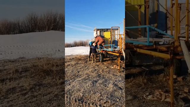 Выносим пчел из зимовника! #пасека #пасекаклимовых #shorts hort смотреть онлайн