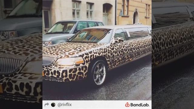 Alexa Demie - Leopard Limo (cover By Nehir Çimener)