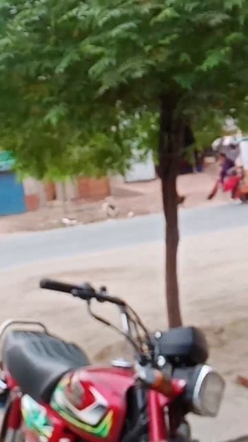 ant eater смотреть онлайн