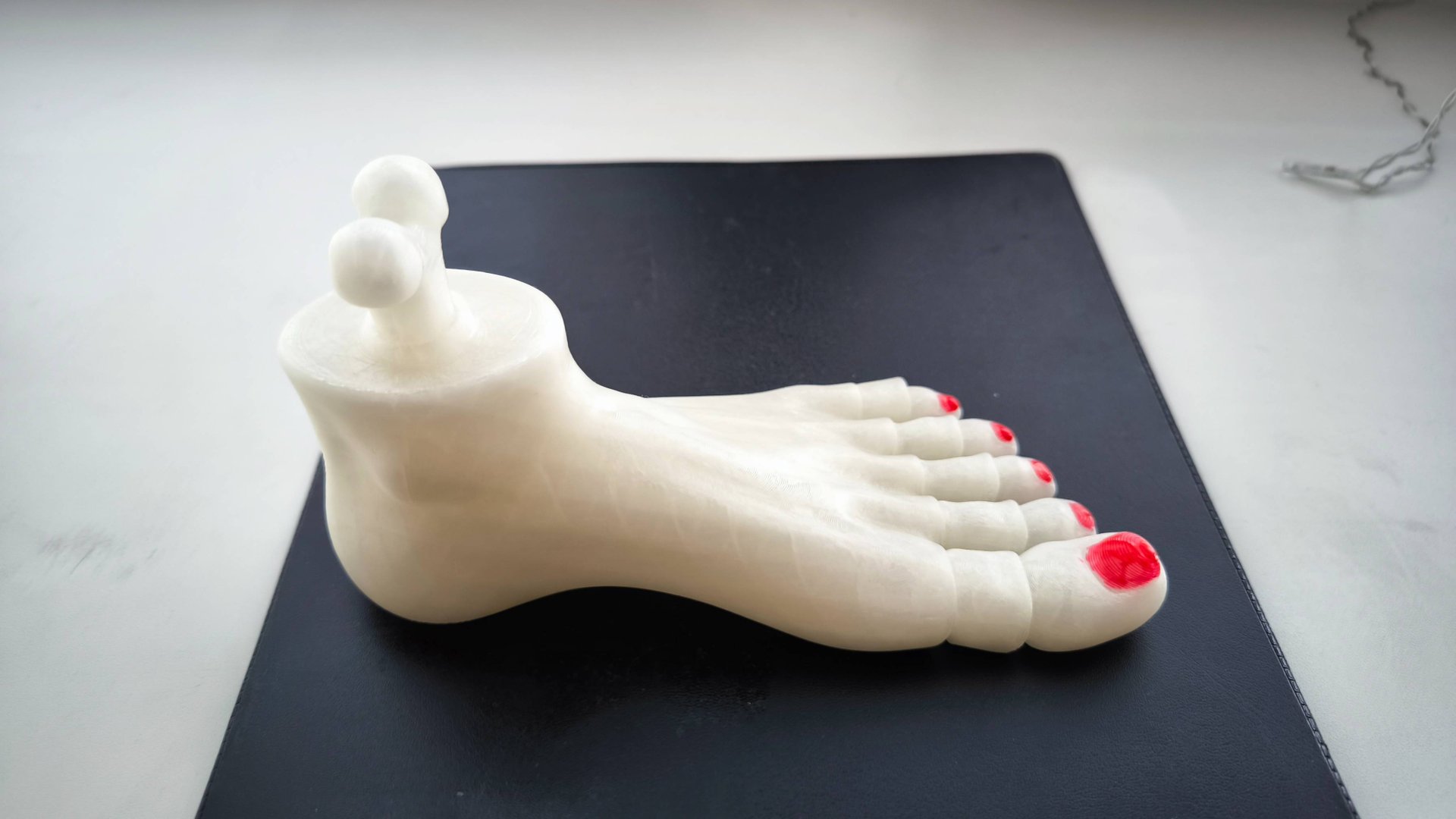 3D ступня человека