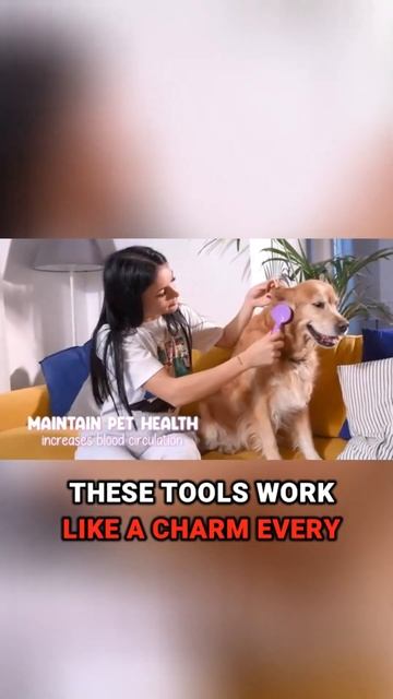 Tangle Tamer Trio! Dematting Comb, Slicker Brush & Rake for FLAWLESS Poodle Coat! смотреть онлайн