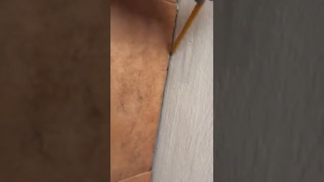 הדברה של תיקן גרמני בחדר אשפה 2 смотреть онлайн