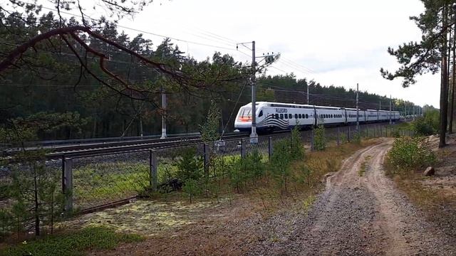 Скоростной поезд Аллегро пролетает Комарово смотреть онлайн