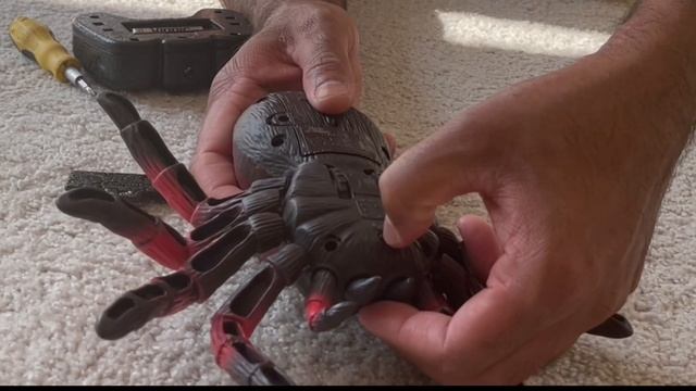 Toy Unboxing! 🕷️ RC SPIDER TARANTULA 🕷️ #unboxing #toys #toyunboxing #kids #kidsvideo