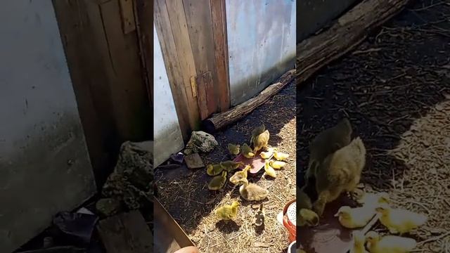 8 июня 2024 г. смотреть онлайн