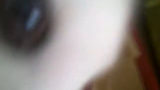 Мой декоративный кролик.Обзор смотреть онлайн