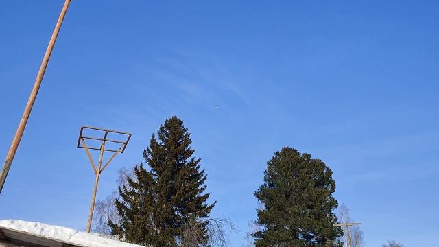 Мои голубочки набирают игру.#бакинскиеголуби #бакинцы #баку #зима #ястреб смотреть онлайн