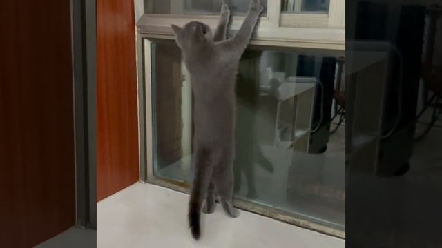 발톱을 깎아야 한다. смотреть онлайн