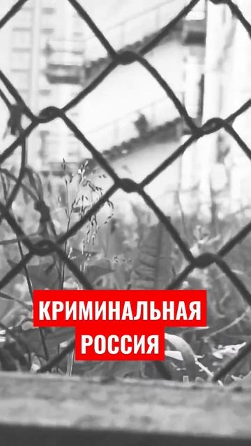 КРИМИНАЛЬНАЯ РОССИЯ смотреть онлайн