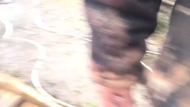 13.04.17 привоз осетра 80 кг смотреть онлайн