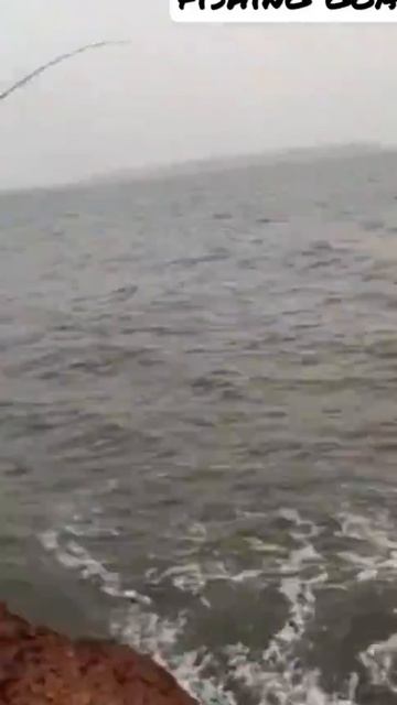 barracuda fishing goa 🎣⚔️ смотреть онлайн