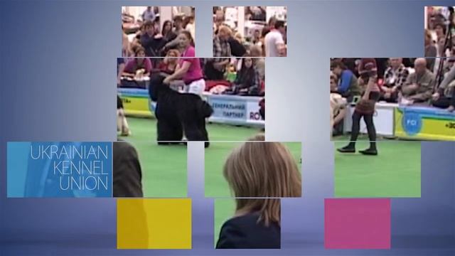 EURO DOG SHOW 2017 FINAL HQ] смотреть онлайн