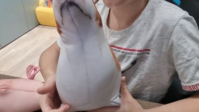 обзор игрушек блоптоп #блоптоп