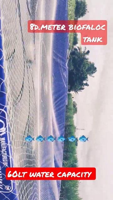 biofaloc fish farming Pangasius 🎏🎏🎏🎏🎏🎏🎏 #biofaloc #youtubeshorts смотреть онлайн