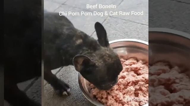Beef BoneIn - Chi Pom Pom Cat & Dog Raw Food смотреть онлайн