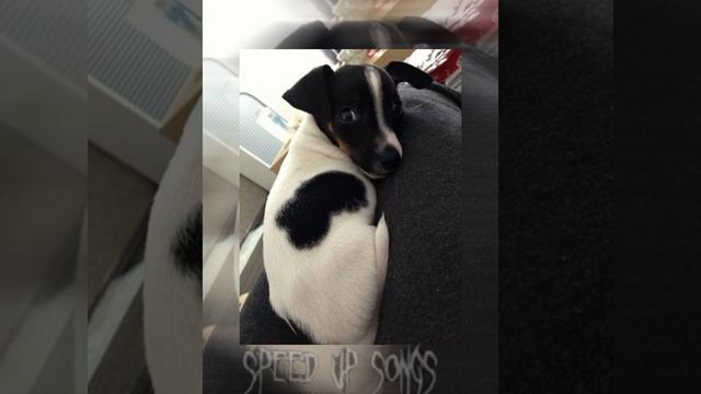 Daryan×Daybe-Надо много денег(Speed up) смотреть онлайн