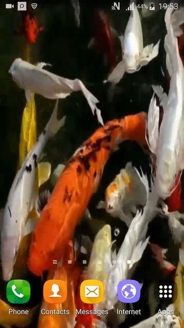 Koi Live Wallpaper смотреть онлайн
