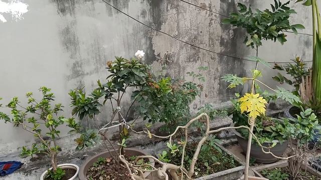 Thử camera Oppo reno 2f смотреть онлайн